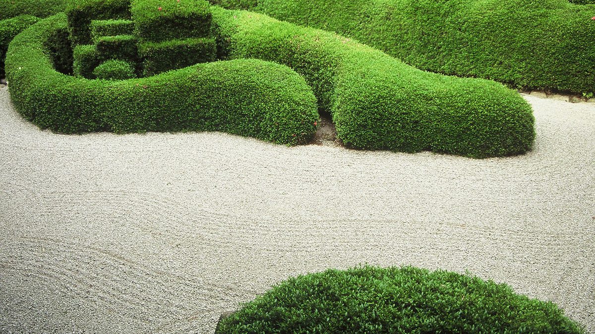 Foto voor categorie Tuin